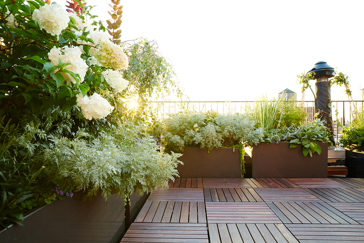 How to transform your balcony or terrace into a green oasis