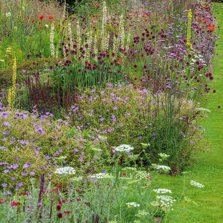 Jardin 2030 : Pourquoi votre pelouse est sur le point de disparaître (et c'est une bonne nouvelle !)