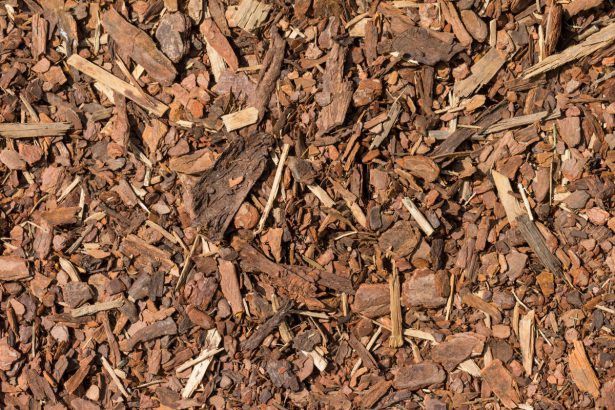 Mulching in the garden: why and how to adopt it