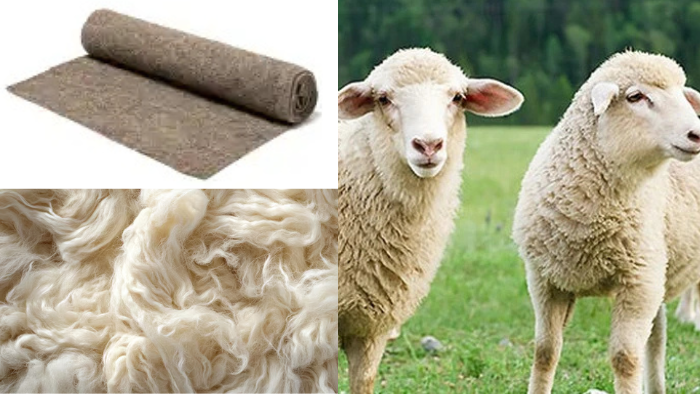 Feutre de paillage 100% laine de mouton