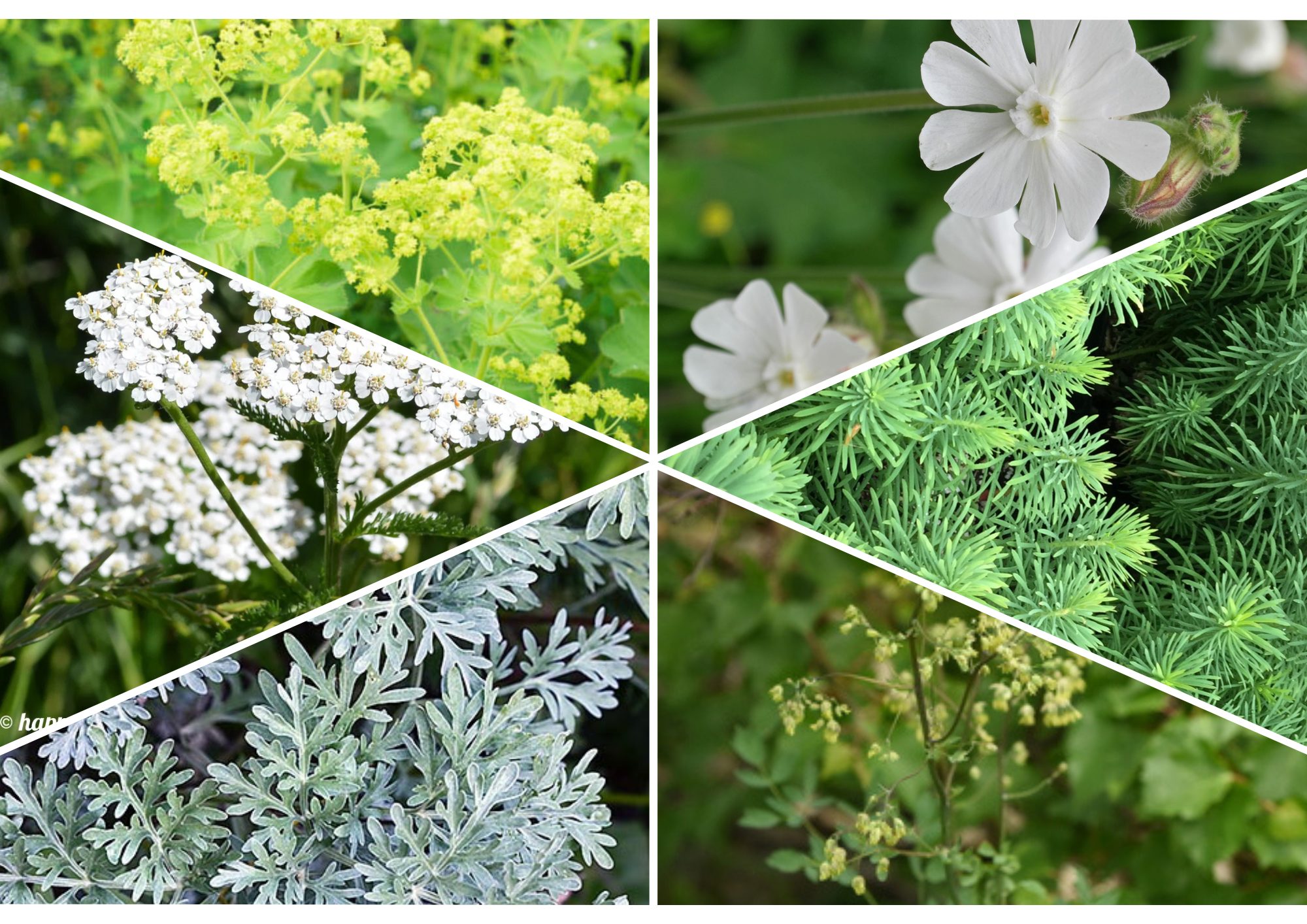 Équilibre – Luminous Naturalistic Bed - 2