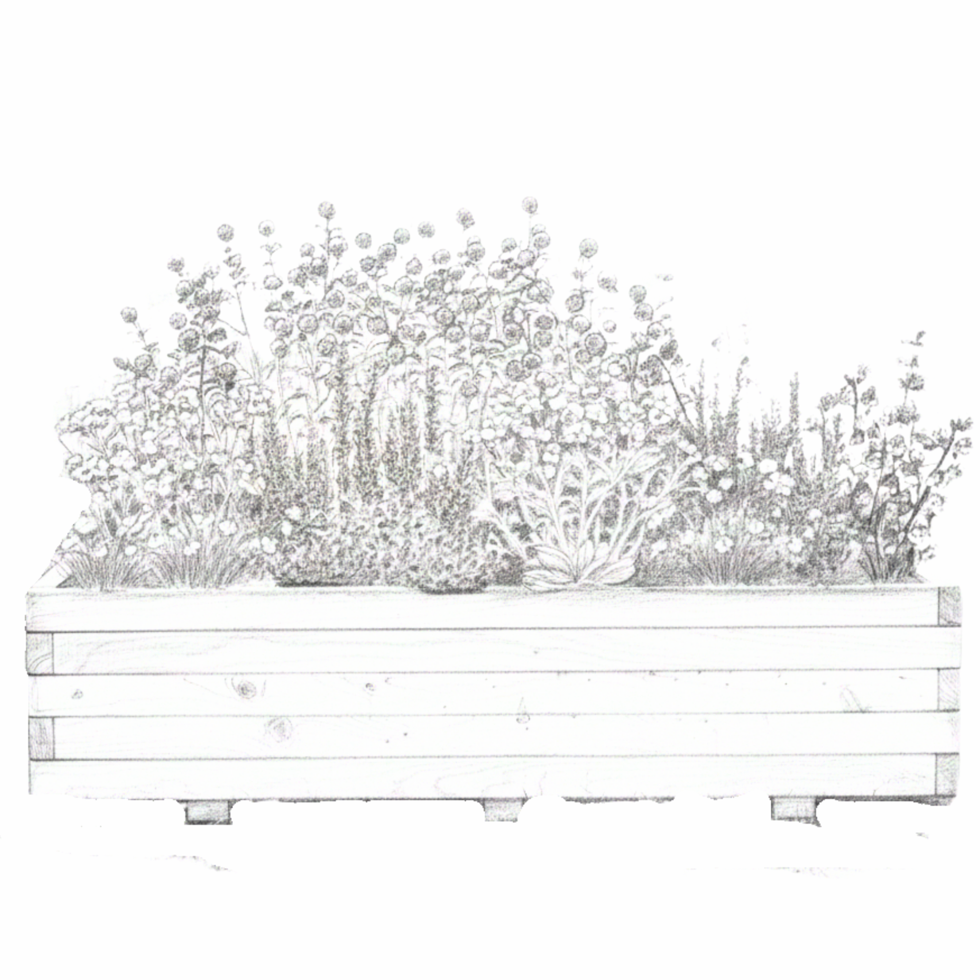 Essaim – Composition Mellifère Structurée - 3
