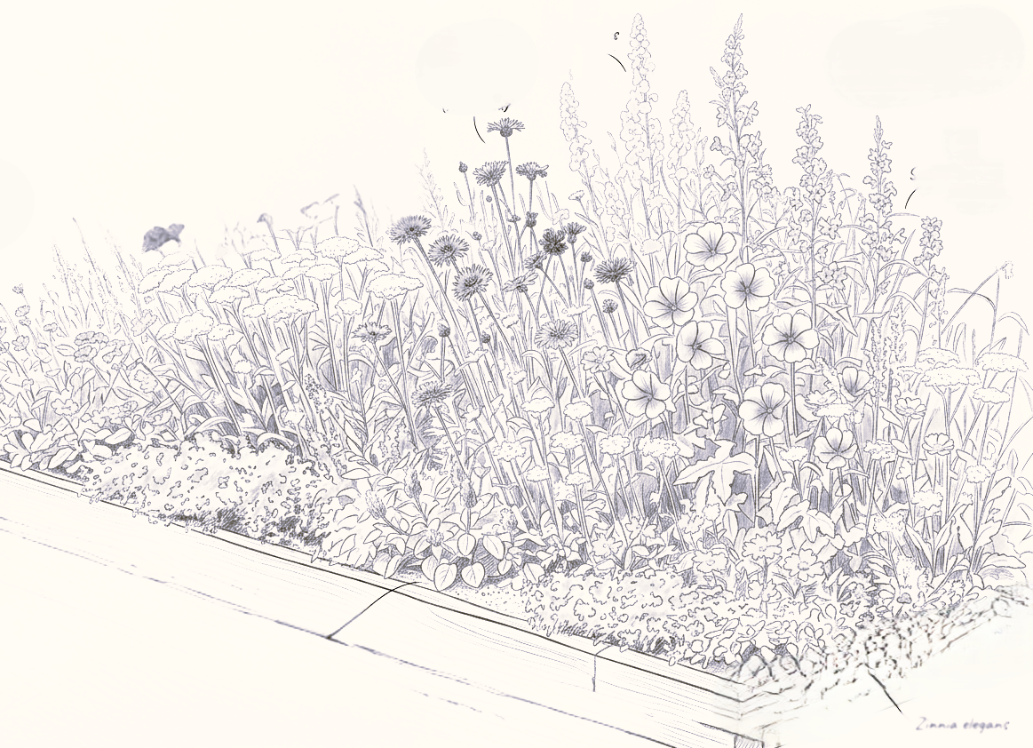 Étreinte – Veerkrachtige Natuurlijke Rand - 3