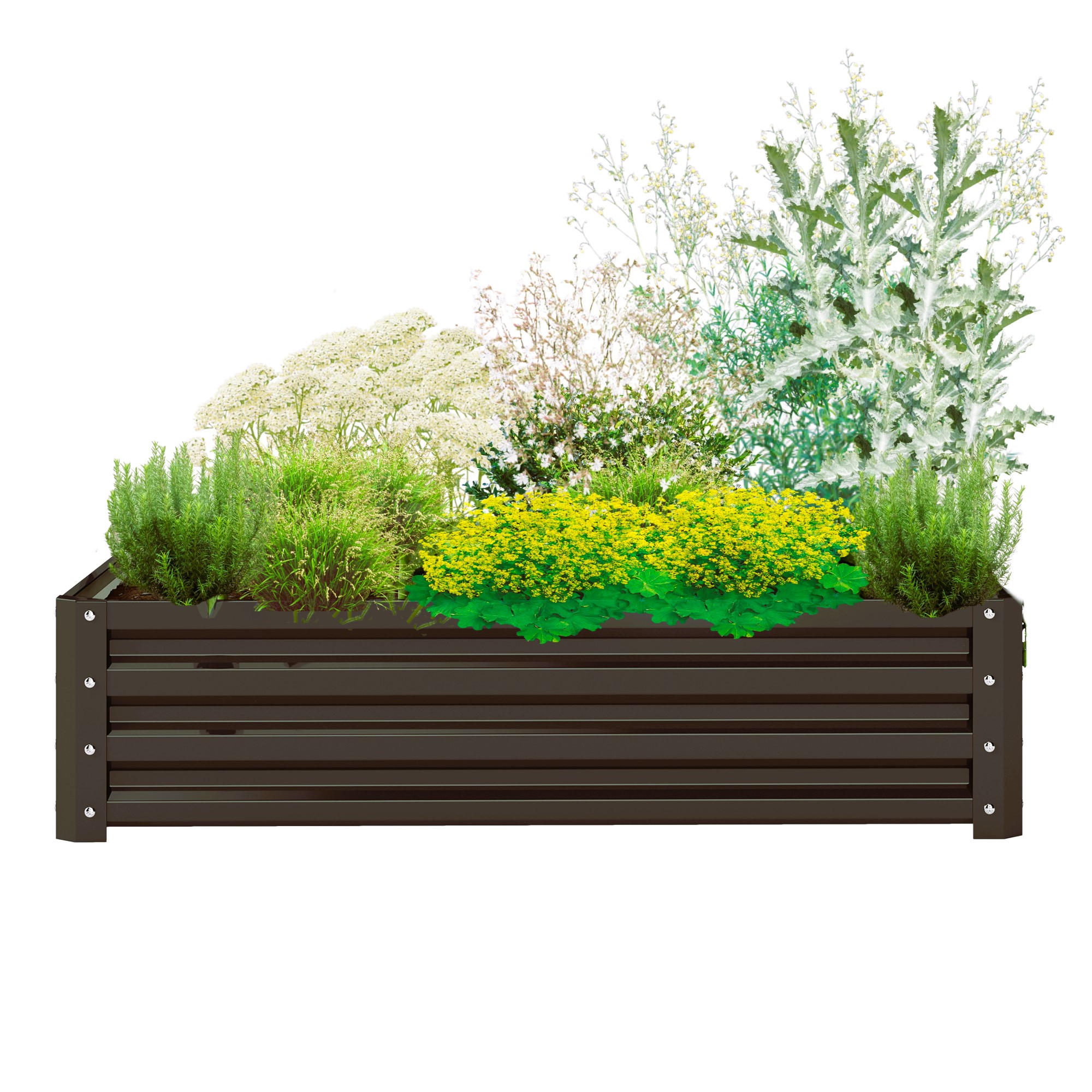 Horizon – Luminous Composition - 4